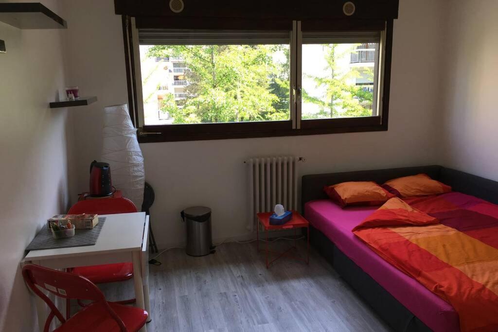 Studio Proche Du Lac-Triangle D'Or Apartment Annecy Luaran gambar